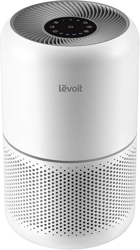 LEVOIT Core 300-P Air Purifier – A Deep Dive Review